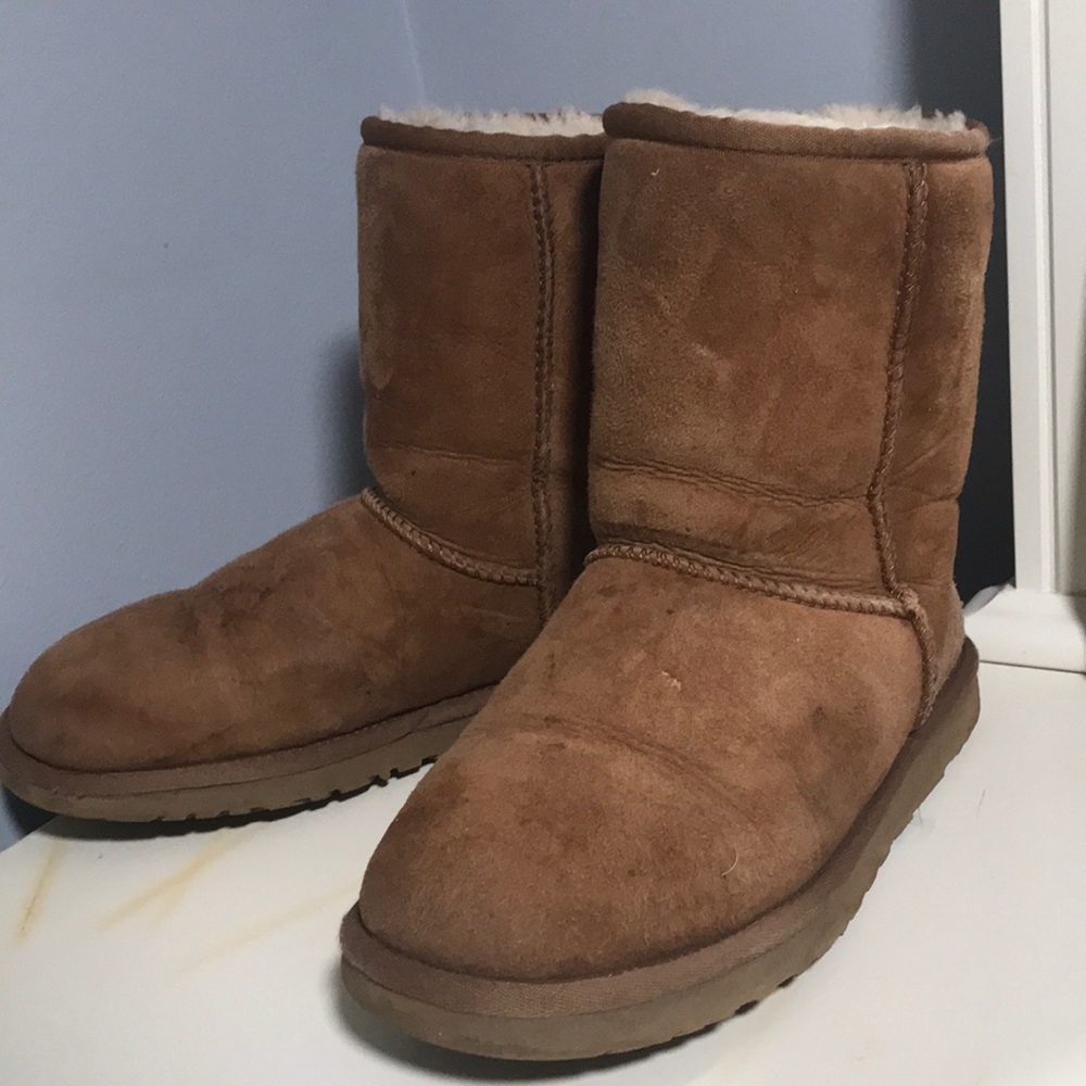 Classic short chestnut uggs